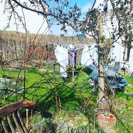 B&B A Quiet Place Tintigny Eksteriør billede